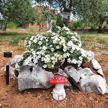 アパート Nozret *