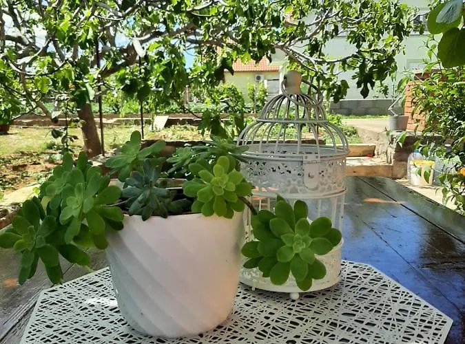 Apartman Nozret