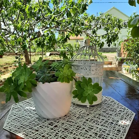 Apartmán Nozret